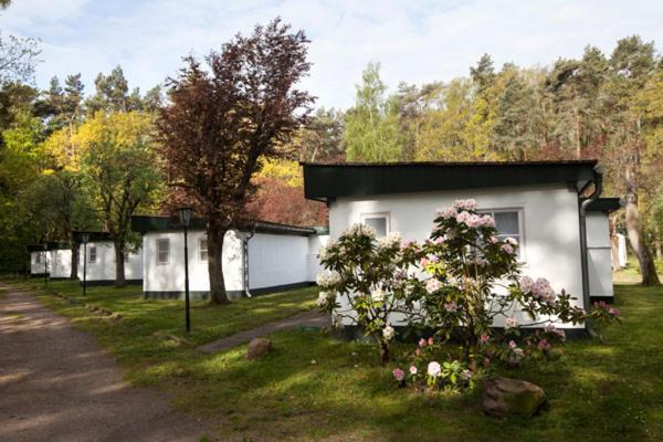 Meeressterne Ferienresort Damerow Koserow Esterno foto